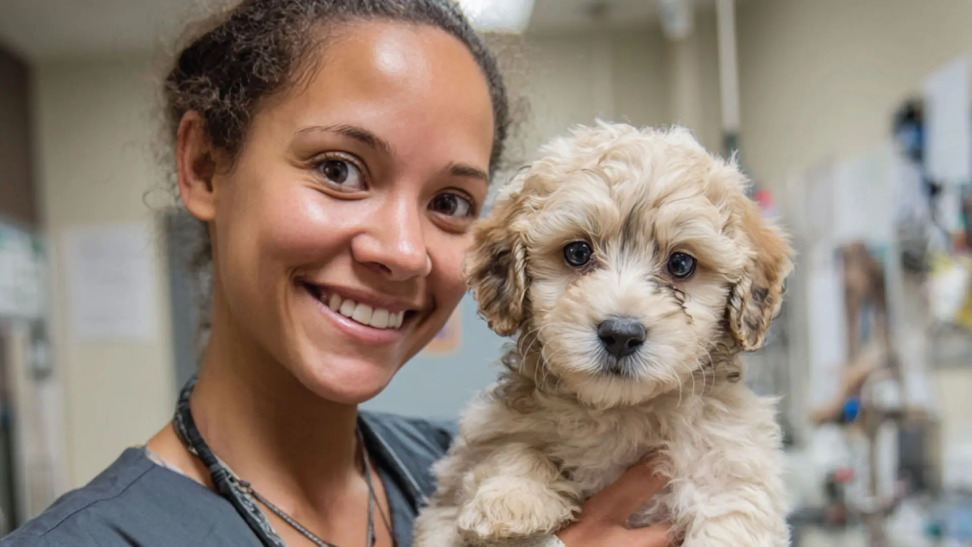Las mejores veterinarias en CDMX: Clínicas certificadas y mejor valoradas