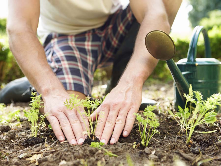 Huerto Romita, una alternativa verde para tu hogar