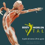 Aprende anatomía con Body Worlds