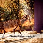 Museo de Paleontología Jalisco