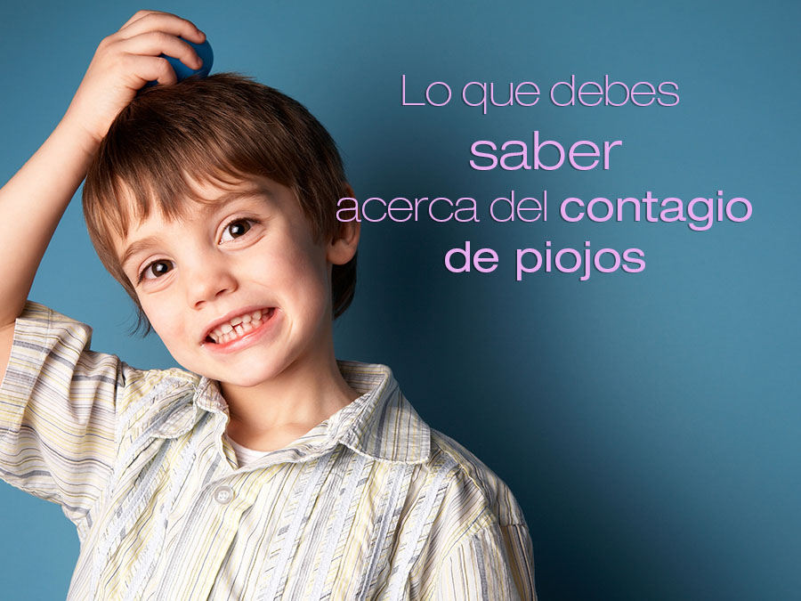 Pediculosis, una enfermedad social