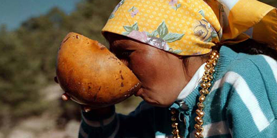 Tesgüino, una bebida ritual de maíz de los rarámuris