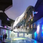 Museo de la Evolución