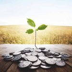 ¿Cuántas PyMEs hay en México?