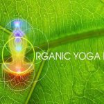 Organic Yoga Fest, 30 y 31 de julio al sur de la ciudad.