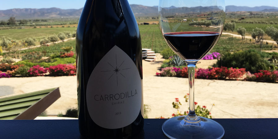 Finca La Carrodilla, vino y sostenibilidad en Ensenada