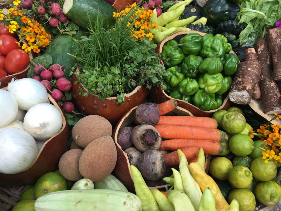 Ingredientes de Yucatán que debes conocer