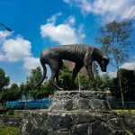 El monumento al perro callejero y la triste realidad que cuenta