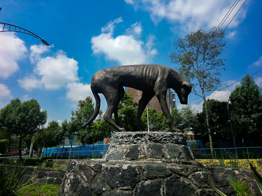 El monumento al perro callejero y la triste realidad que cuenta