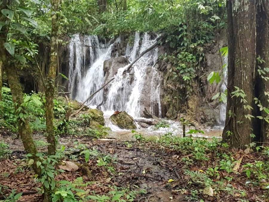 Reserva de la Biosfera Montes Azules: un paraíso natural en Chiapas