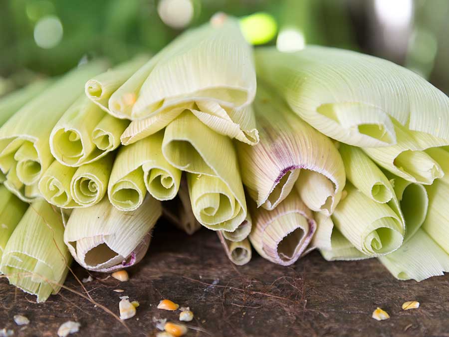 Las hojas para los tamales y los tipos de masa