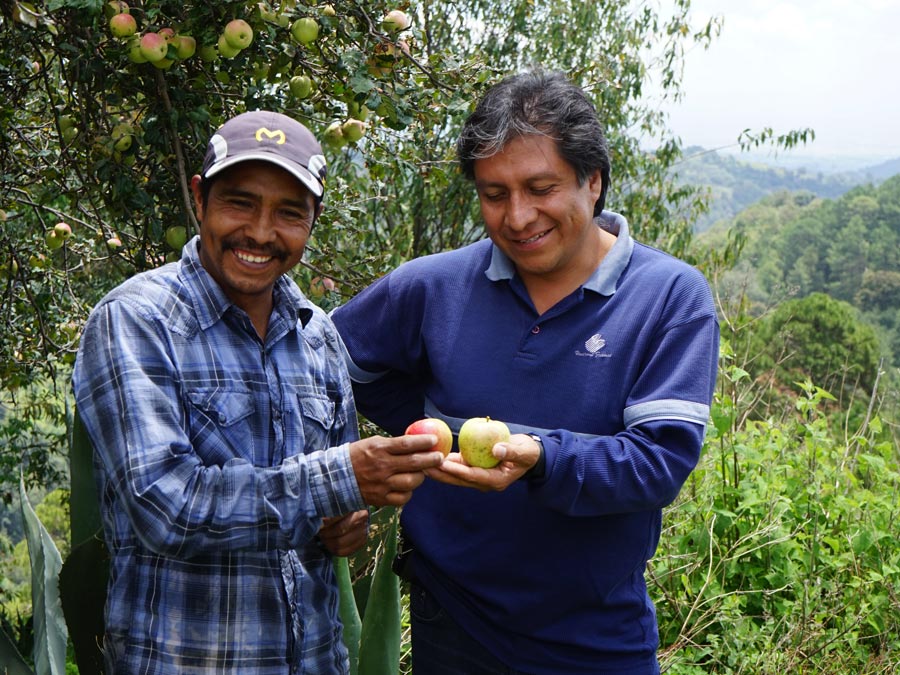 Ingredientes para el chile en nogada: Pascual Méndez y Freddy Marcos Foto: Mariana Castillo