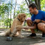 ¿Cómo festejar el Día Mundial del Perro? ¡Amándolo y cuidándolo!