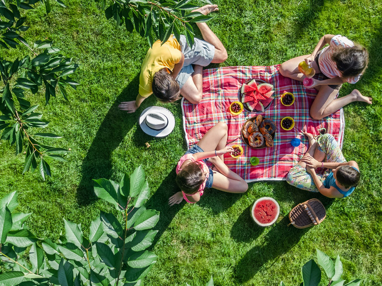 Picnic, el origen de la tradición de comer al aire libre