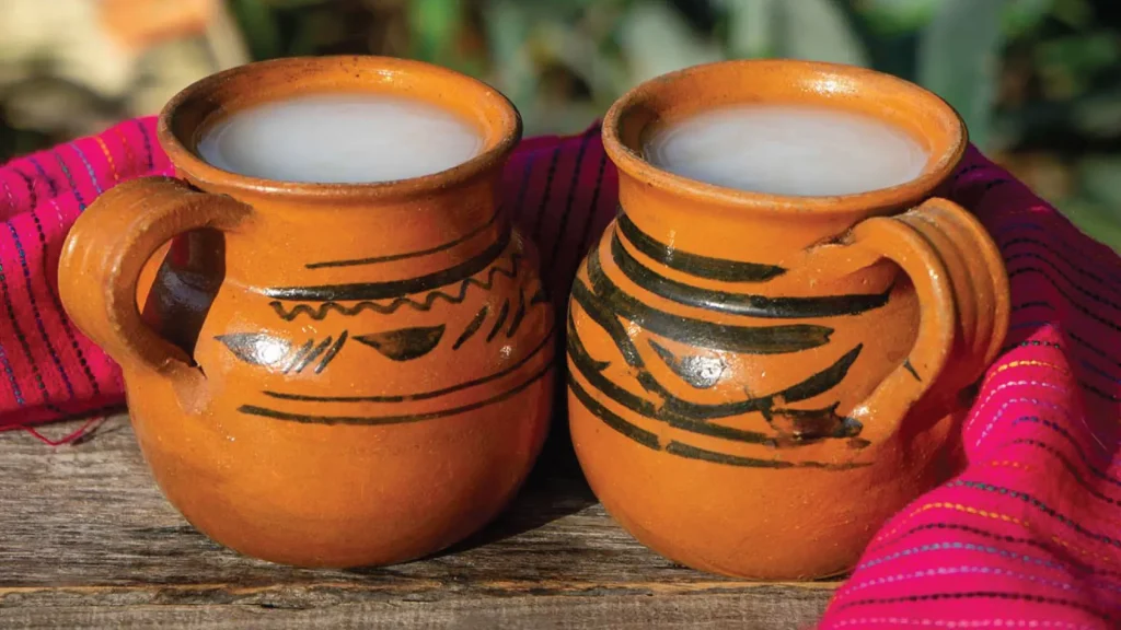 Bebidas-mexicanas-con-beneficios-para-la-salud-Del-pulque-al-tequila-salud-viva-mexico-curativas-organismo-seccion-amarilla-blog-cerveza-
