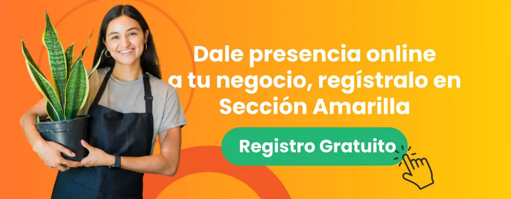 seccion-amarilla-mexico-publicidad-anuncios-sitio-web-pagina-marketing-digital-agencia-pymes-emprendimiento-negocios-empresas-servicios-SEO-posicionamiento-costos-precios-BANNER-BLOG-3