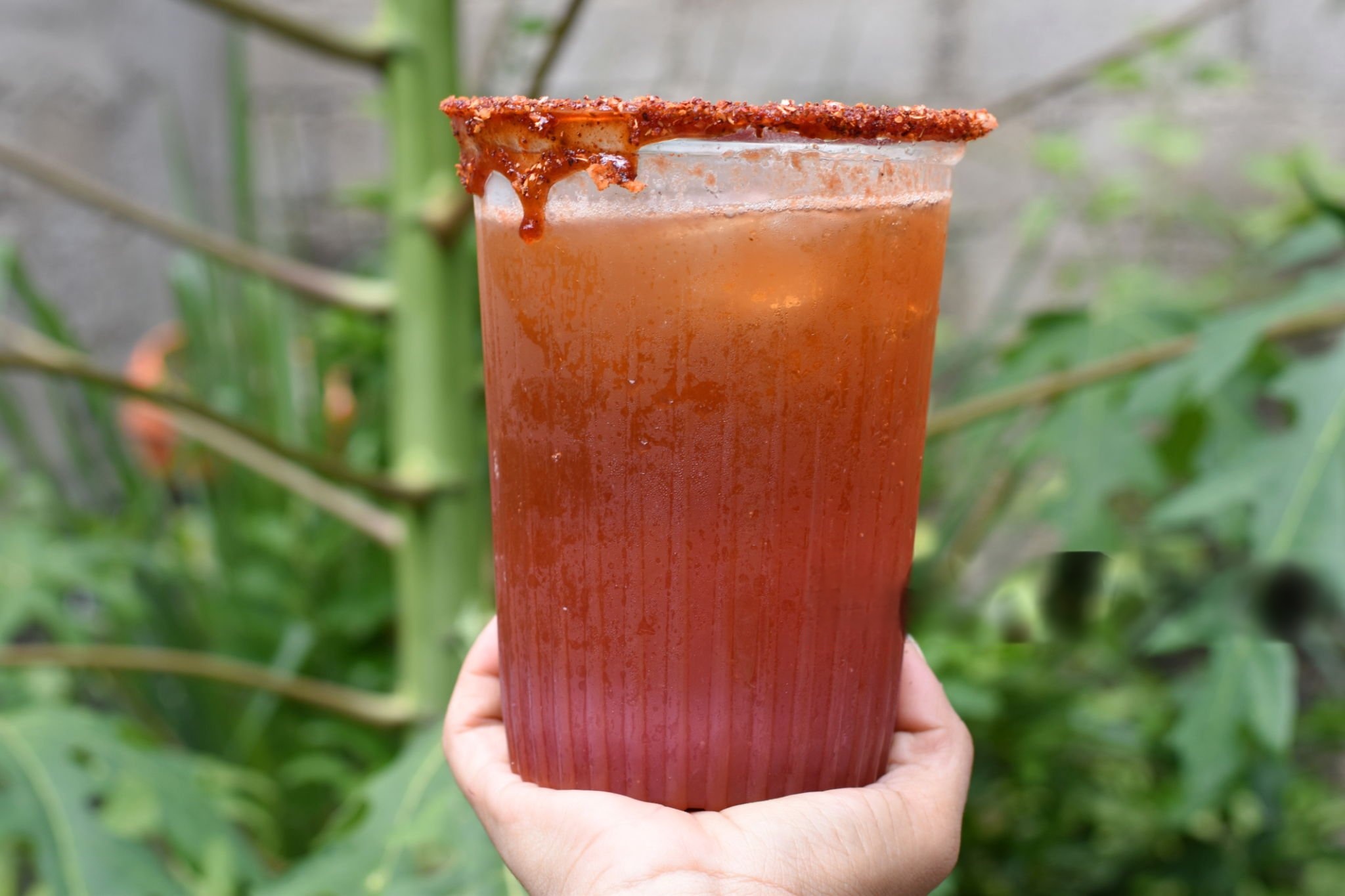 Guía Definitiva de Lugares para Micheladas en CDMX: 5 Sitios Imperdibles