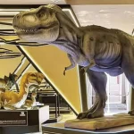 Los museos más interesantes y bellos en Yucatán: la guía definitiva