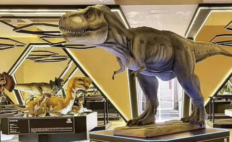 Los museos más interesantes y bellos en Yucatán: la guía definitiva