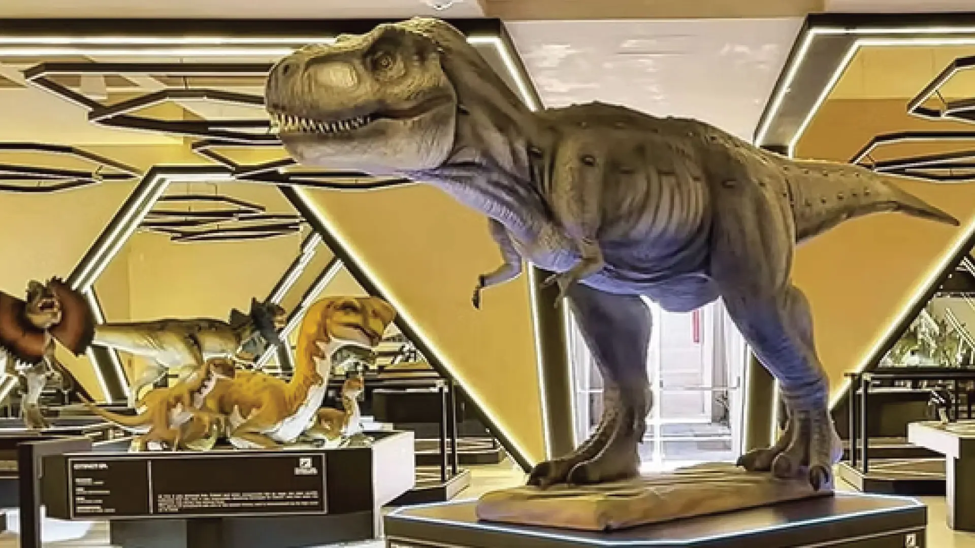 Los museos más interesantes y bellos en Yucatán: la guía definitiva