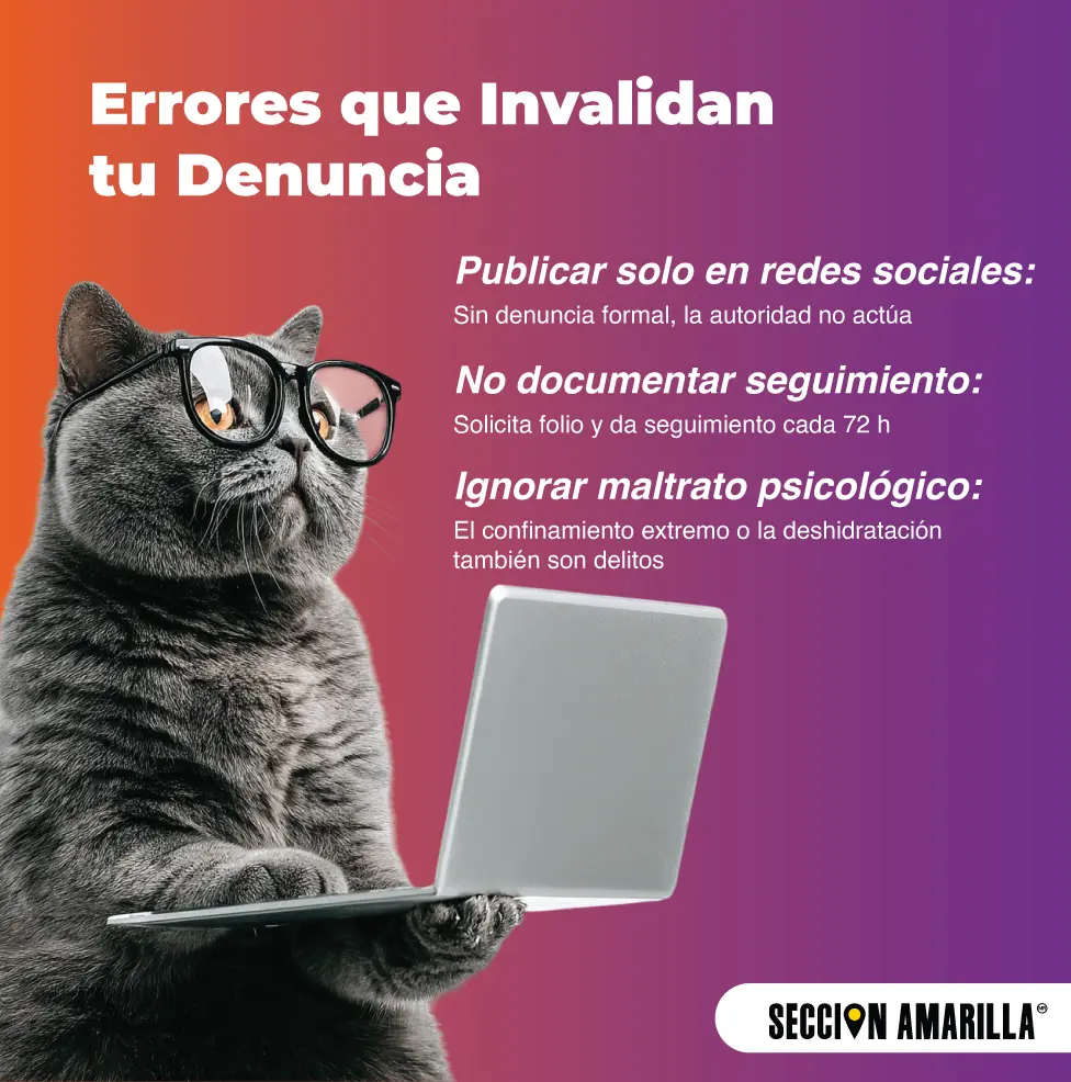Denunciar maltrato animal en México 2025: Guía para Salvar Vidas