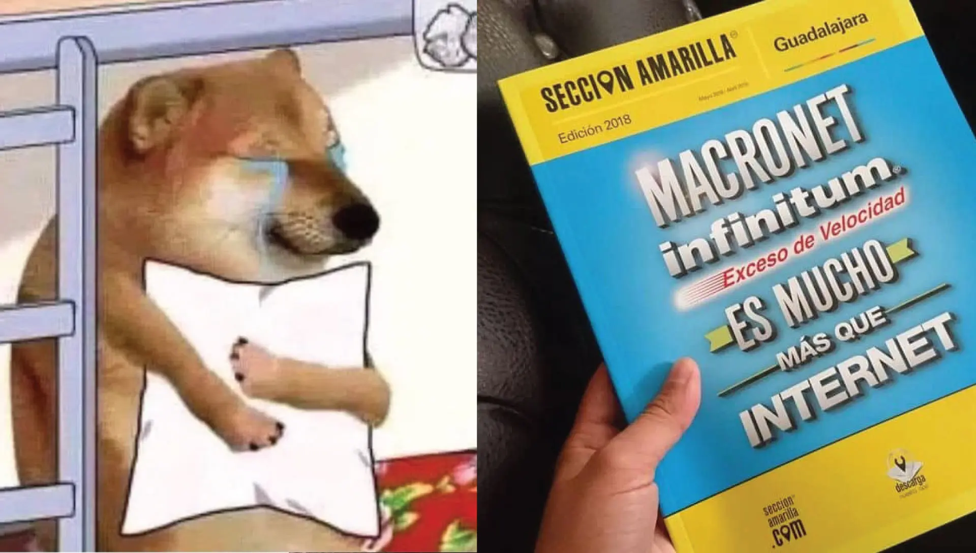 Cosas que Extrañamos del directorio de la Sección Amarilla