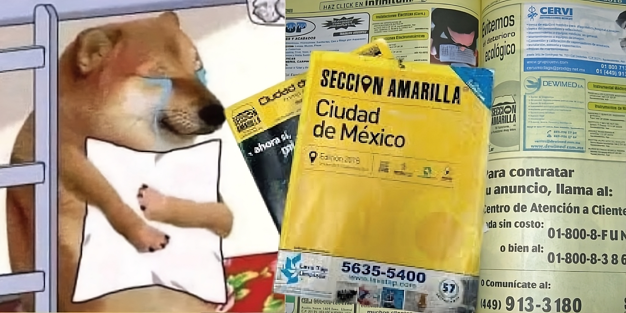 Cosas que Extrañamos del directorio de la Sección Amarilla