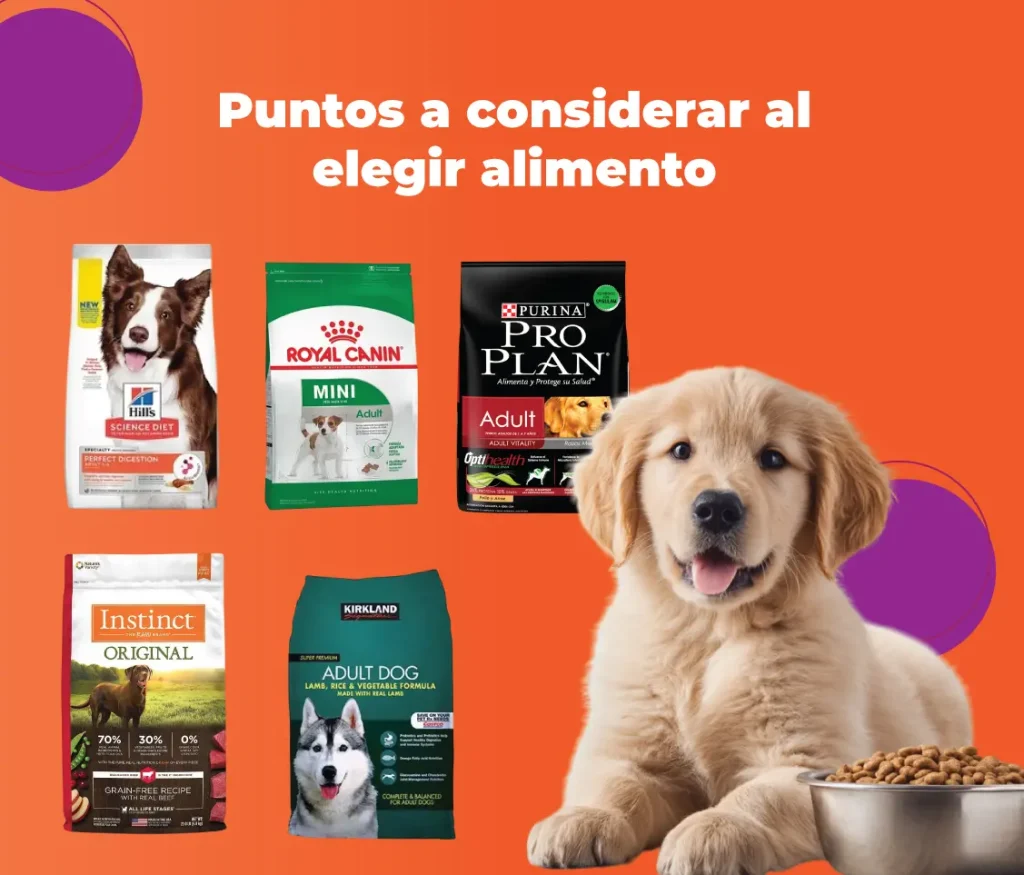 mejores y peores croquetas para perro en México 2025. Precios, valoraciones con recomendaciones veterinarias seccion amarilla blog sisoy mascotas lomitos alimento