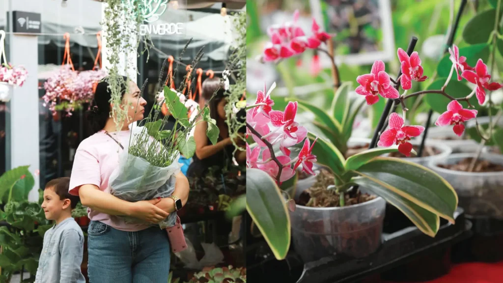 plantfest-feria-plantas-cdmx