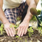 Huerto Romita, una alternativa verde para tu hogar