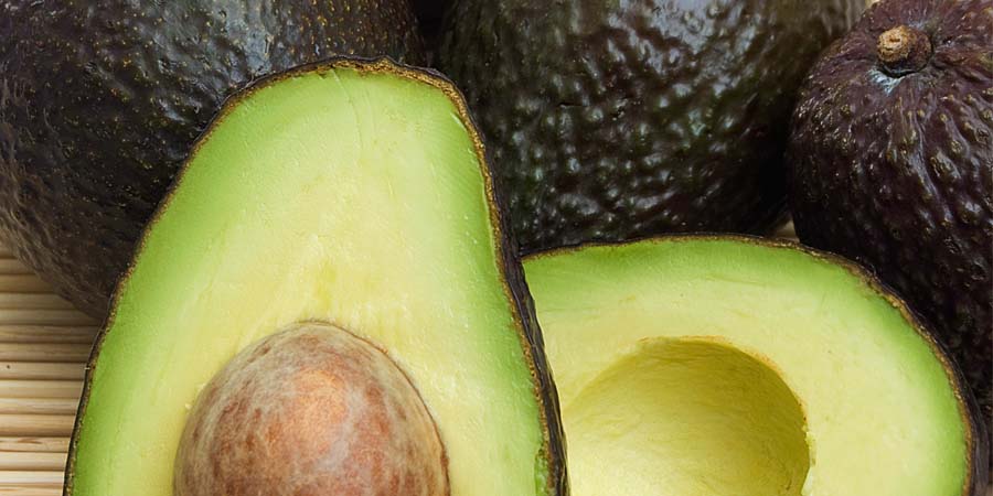 Aguacate, un delicioso fruto