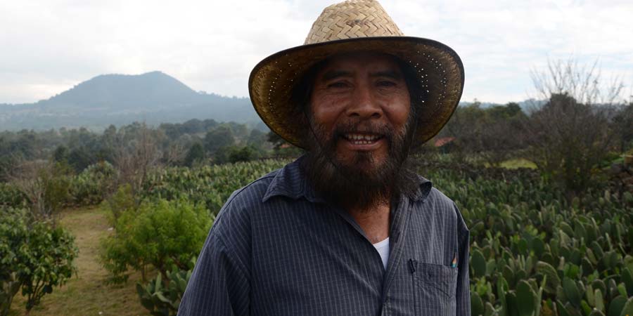 Milpa Alta, oasis al sur de la Ciudad de México