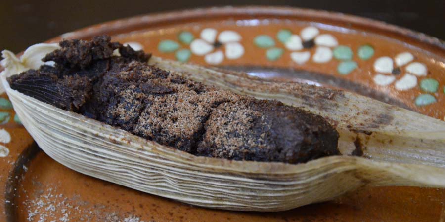 Receta para preparar un tamal chocolate