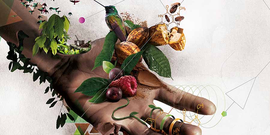 La naturaleza será el tema del World Chocolate Master 2015