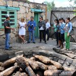 Mezcal artesanal en Destilería Los Danzantes