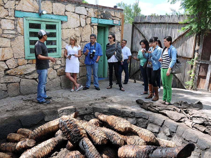 Mezcal artesanal en Destilería Los Danzantes