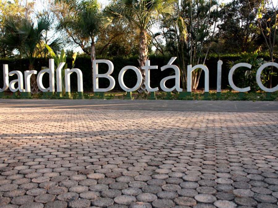 Jardín Botánico de Culiacán