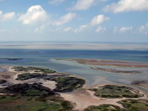 Laguna Madre: bello escenario tamaulipeco