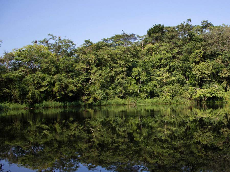 Minatitlán: paisajes y naturaleza