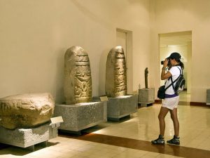 Museo de Paleontología Eliseo Palacios Aguilera