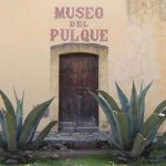 ¡El pulque ya tiene museo!