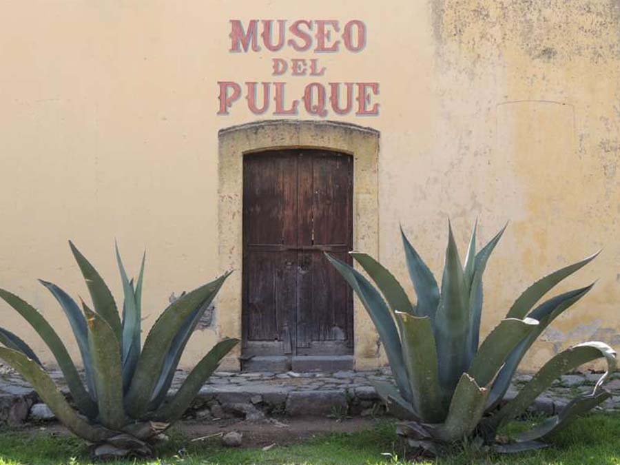 ¡El pulque ya tiene museo!