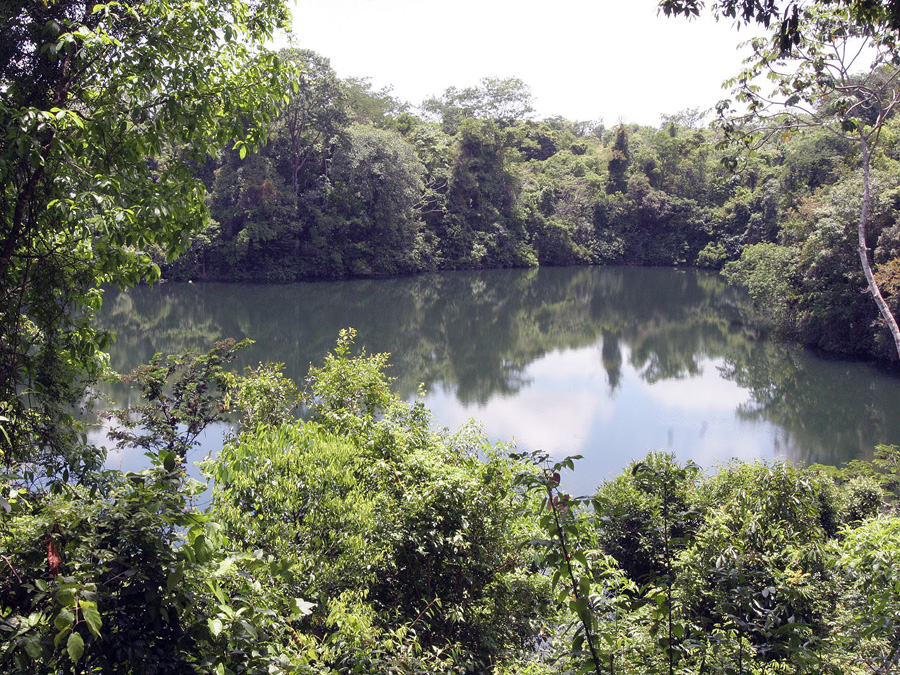 Pantanos de Centla