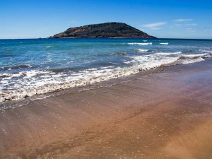 ¡Vamos a la playa!