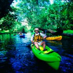 Ecoturismo en Riviera Nayarit