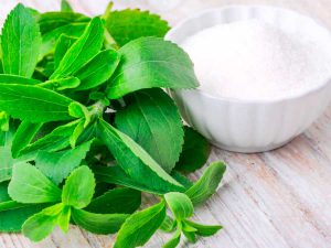 Stevia, edulcorante sin calorías