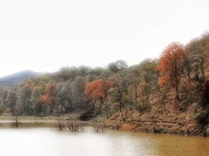 Sierra Fría de Aguascalientes, escenario perfecto para la aventura