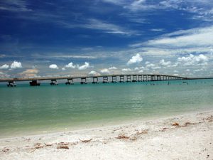 Playa Maniagua: un mosaico de biodiversidad