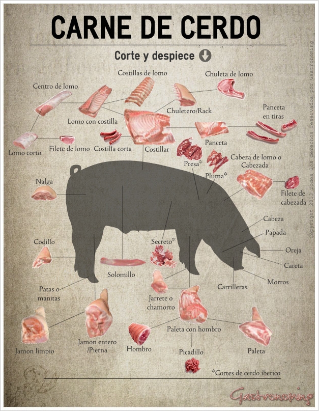 cerdo_corte_infografia