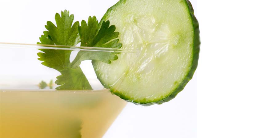 Martini de cilantro